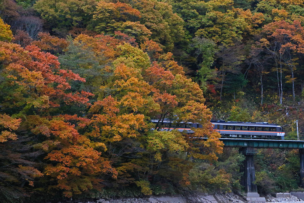 紅葉と高山本線