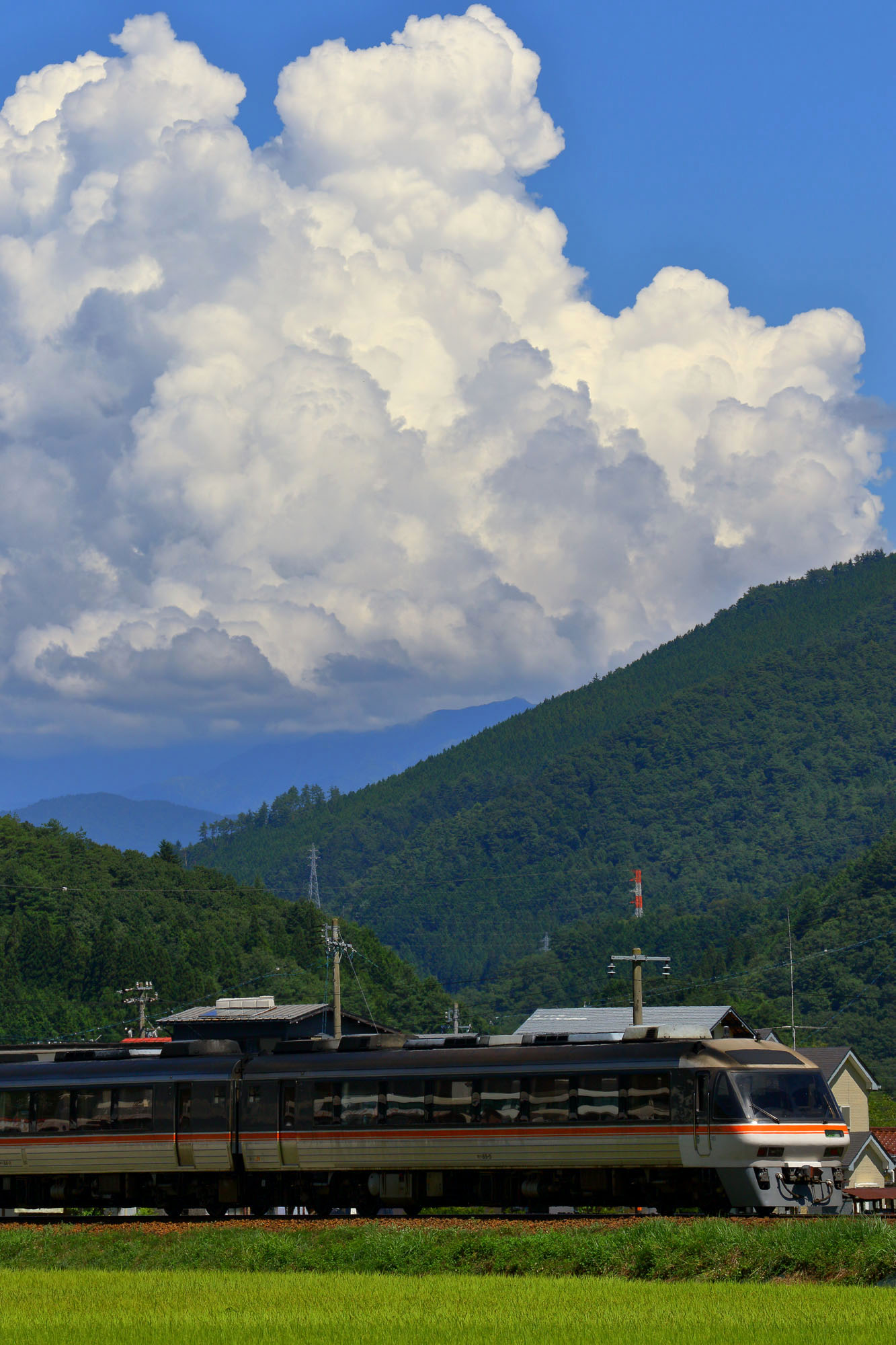 入道雲と特急ひだ