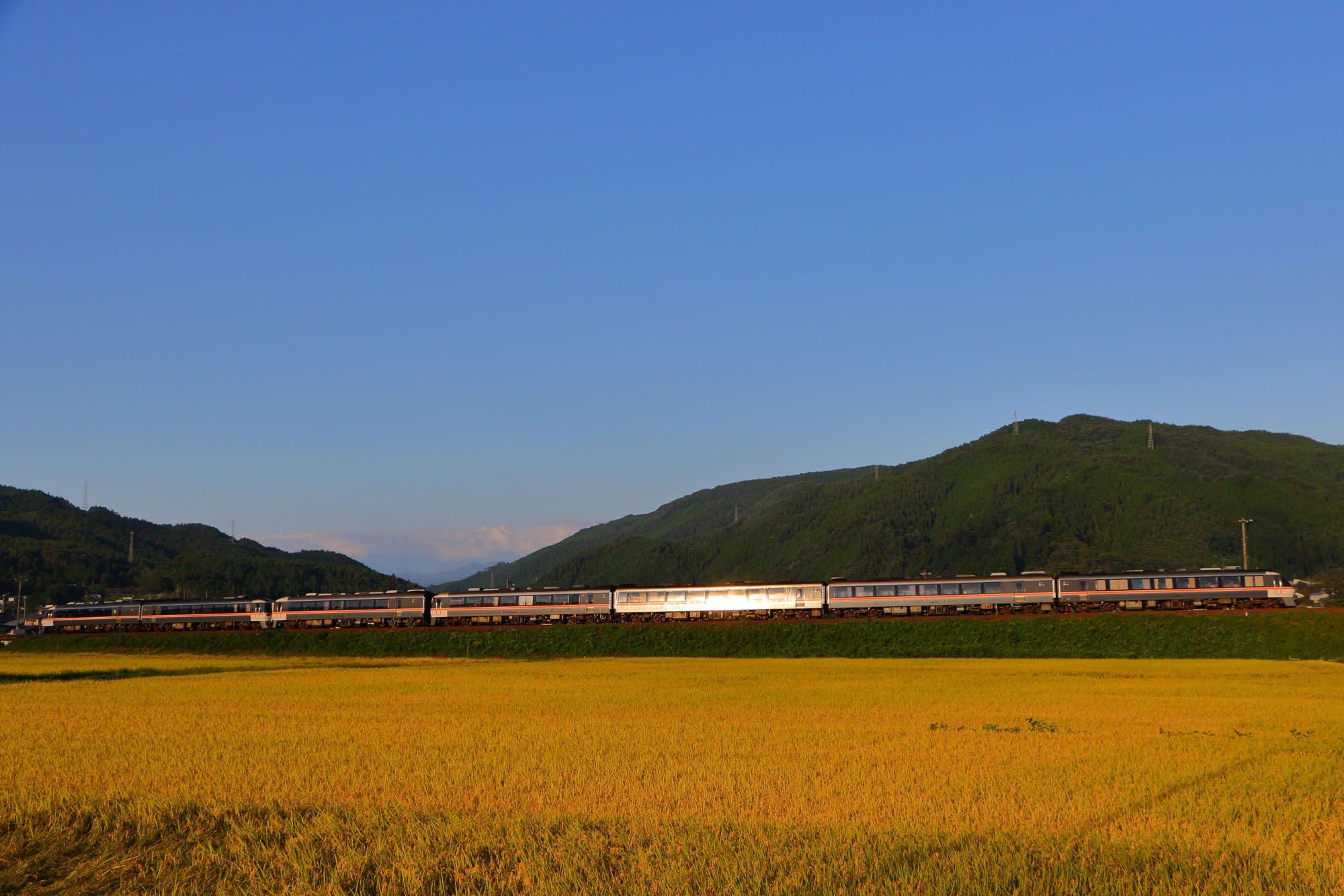 田んぼの中を駆け抜ける特急ワイドビューひだ