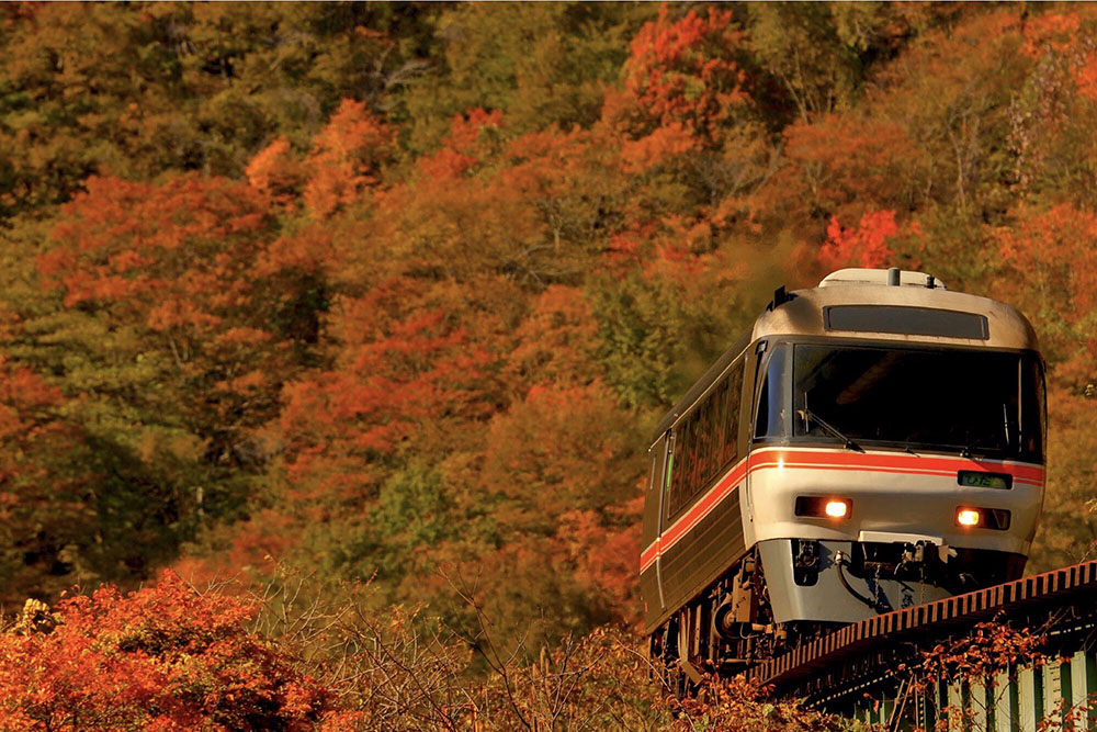 紅葉の中を走る特急ひだ号