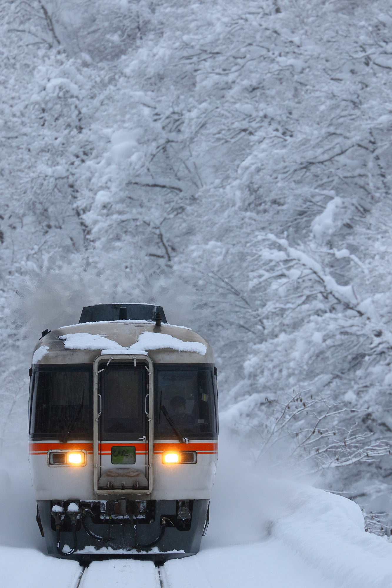 雪の中を走る特急ワイドビューひだ