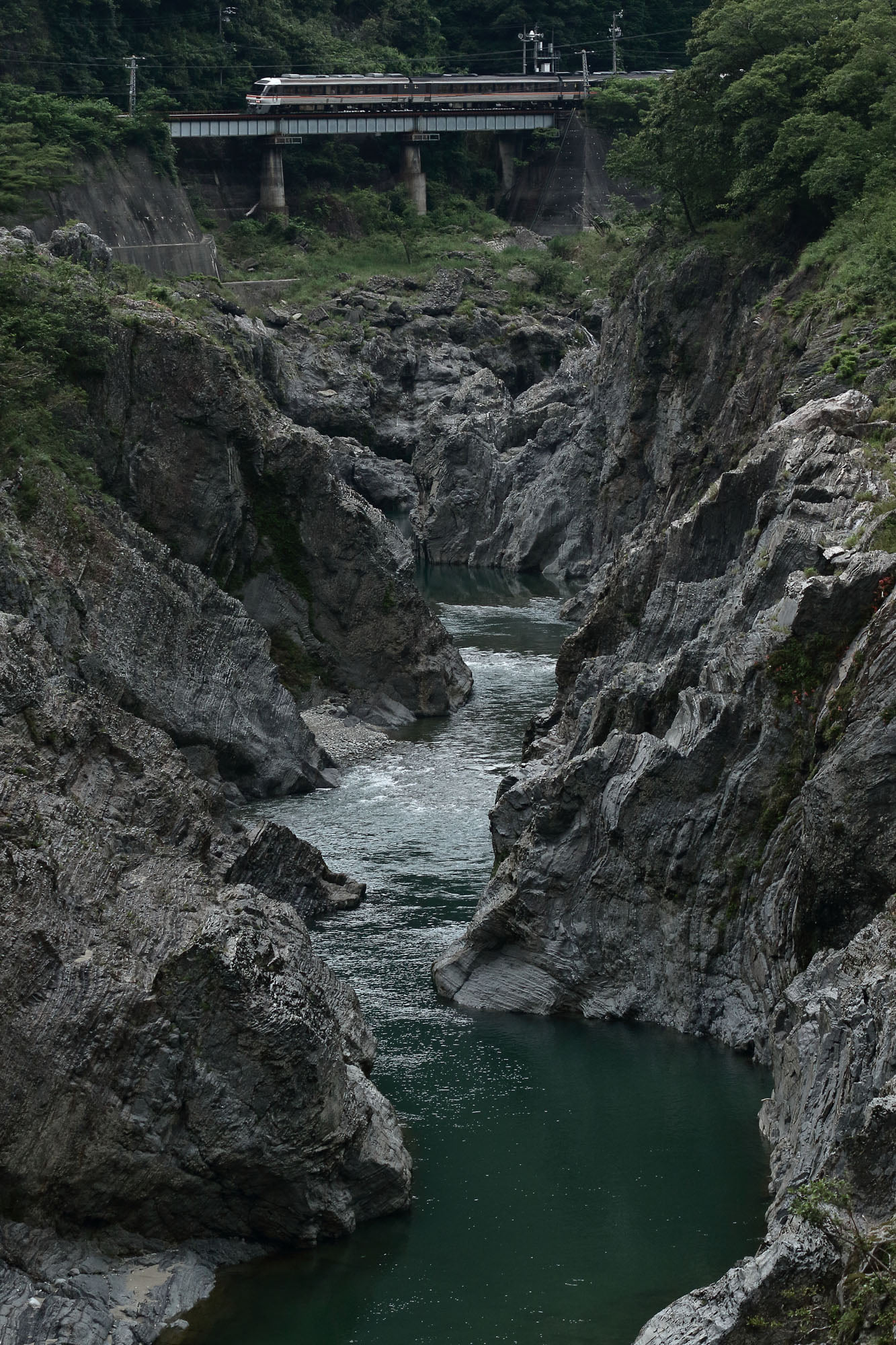 飛水峡を走る特急ひだ号