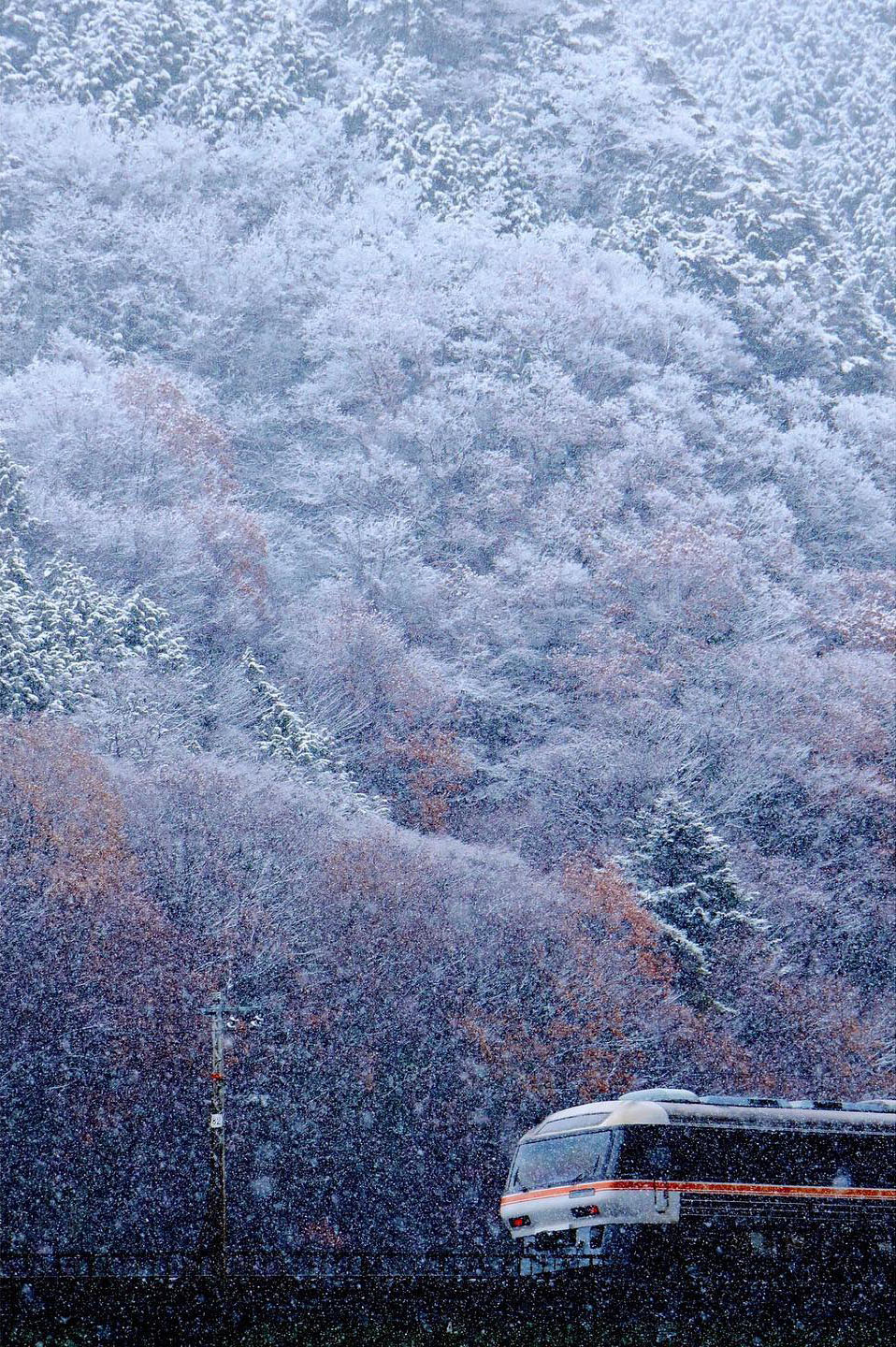初雪が舞う飛騨路を走る特急ひだ