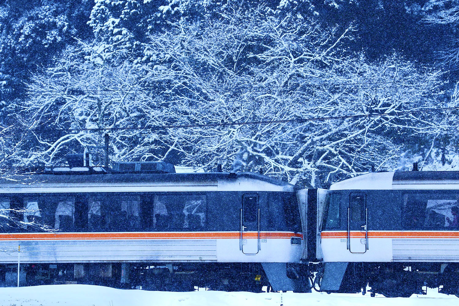 3月の雪。飛騨の冬はまだまだ続く。