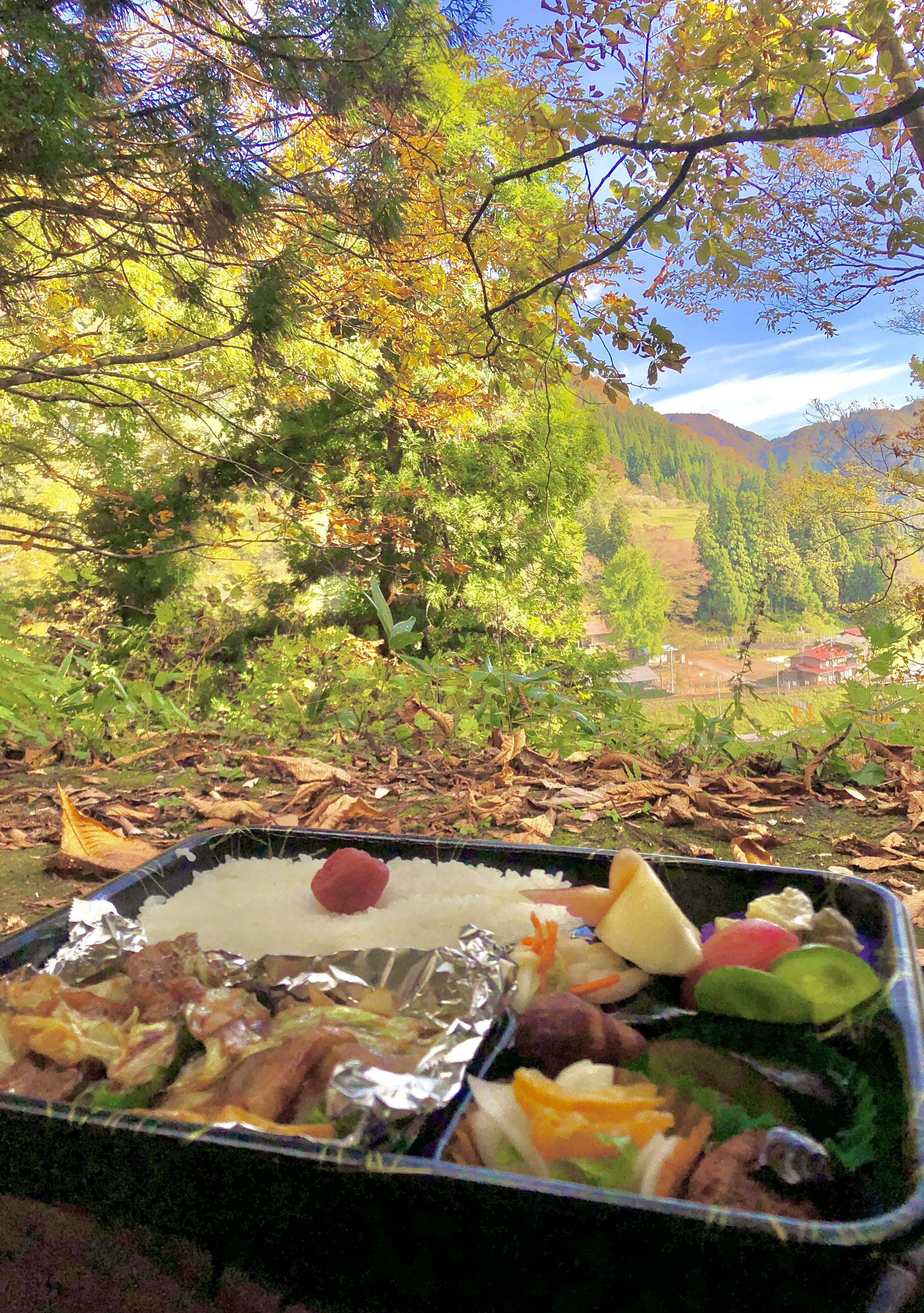 飛騨の山の中で食べるお弁当は最高