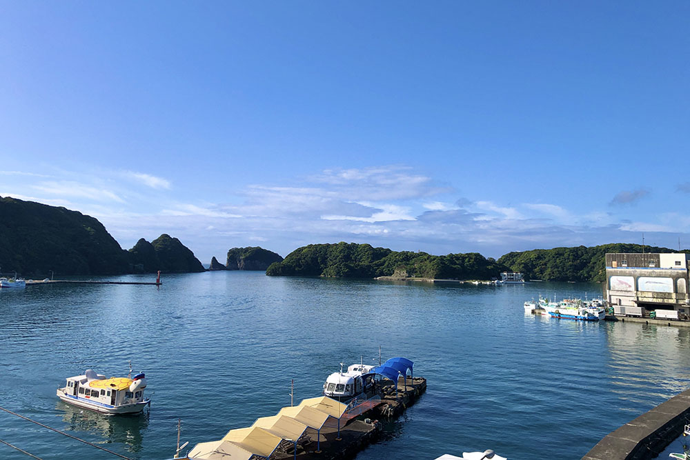 勝浦漁港の朝