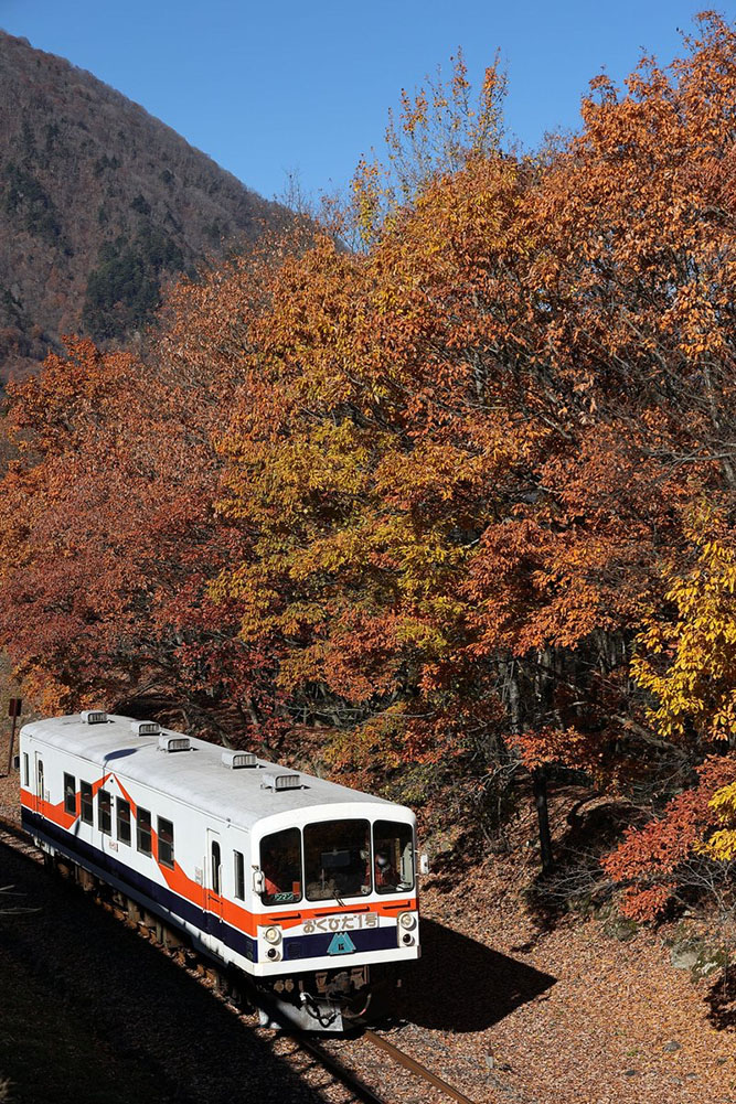 廃線した線路を彩る紅葉